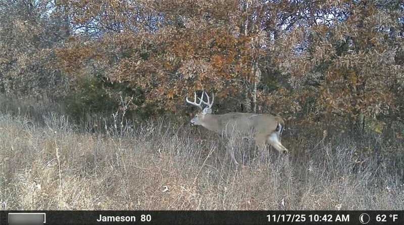 250th St, Jameson, MO 64647