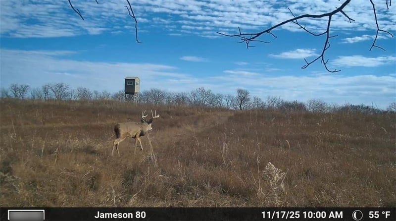 250th St, Jameson, MO 64647