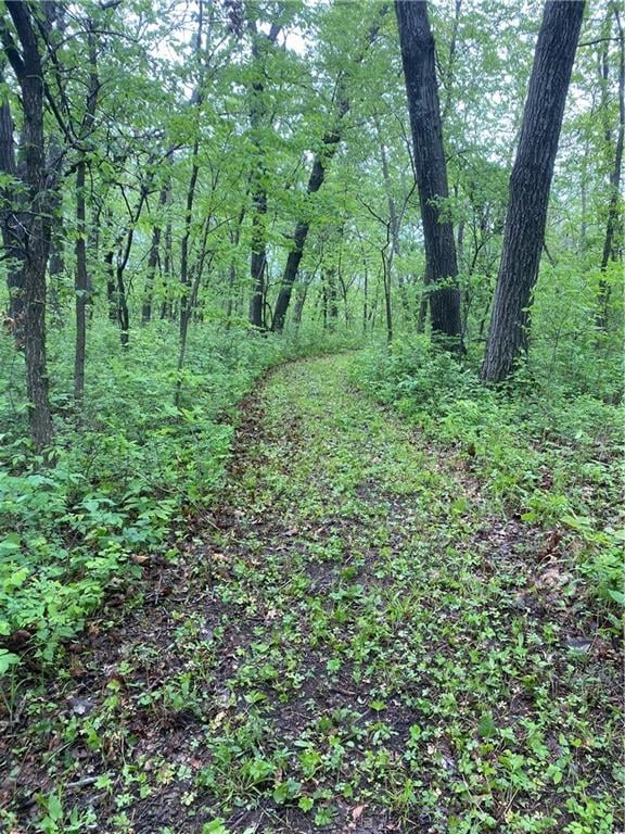 00000 Vacant Phillips Rd, Perry, KS 66073