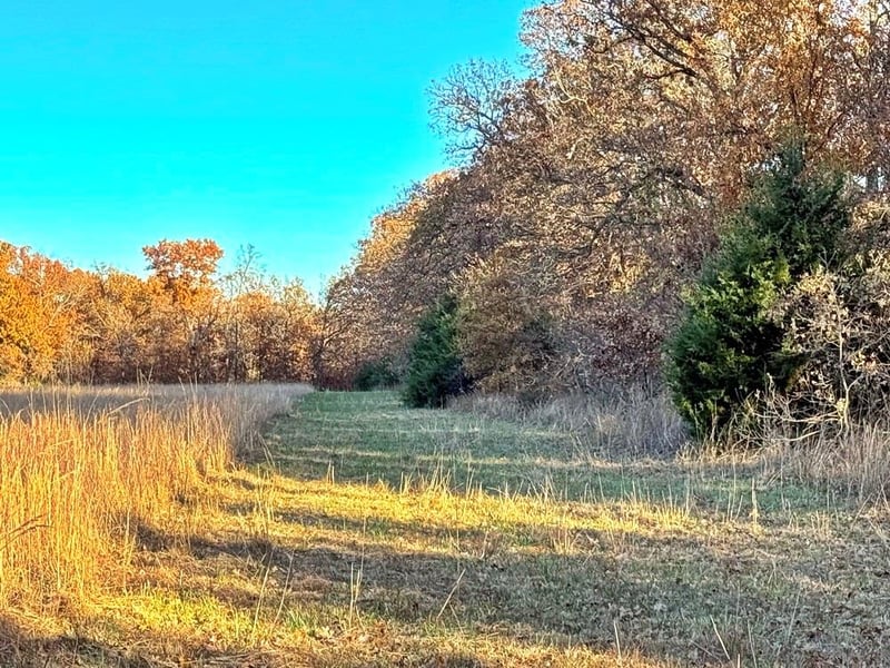 TBD 525 Rd, El Dorado Springs, MO 64744