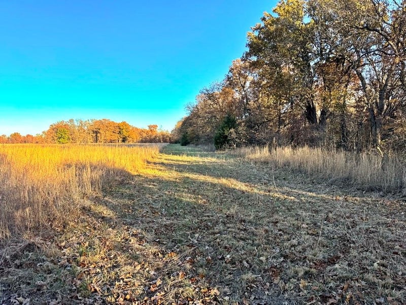 TBD 525 Rd, El Dorado Springs, MO 64744
