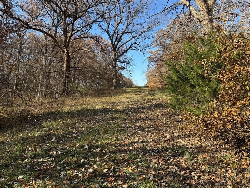 TBD Sate Highway 13 Hw, Pattonsburg, MO 64670
