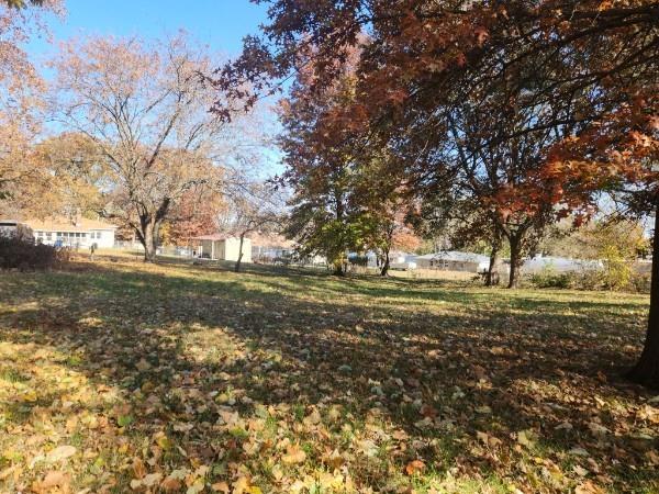 710 Mason St, Odessa, MO 64076