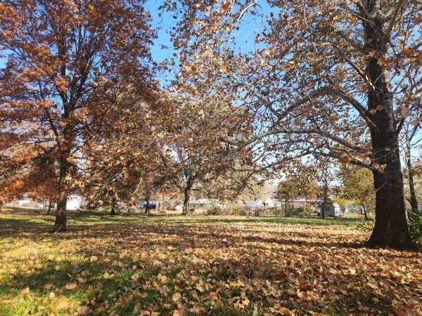 710 Mason St, Odessa, MO 64076