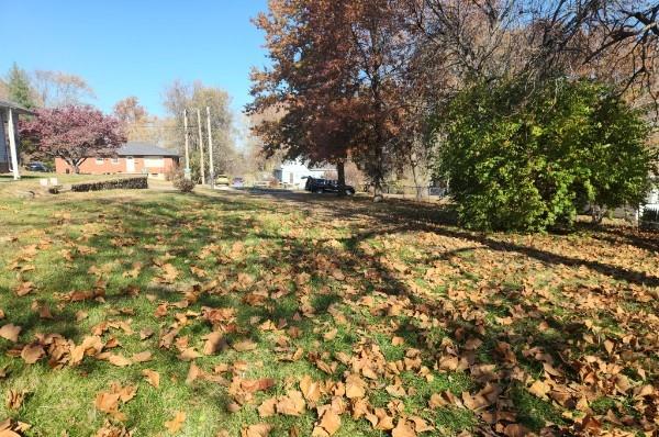 710 Mason St, Odessa, MO 64076