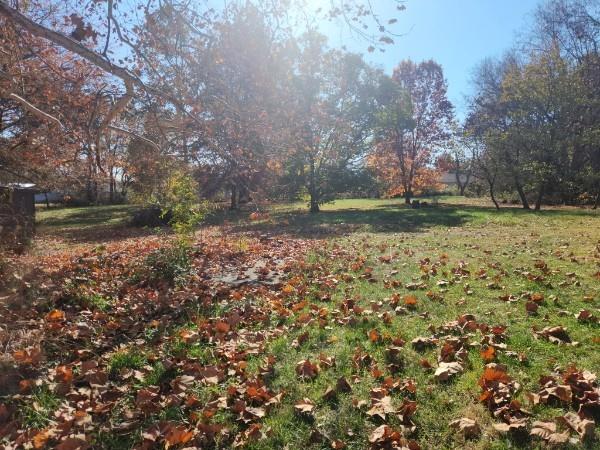710 Mason St, Odessa, MO 64076