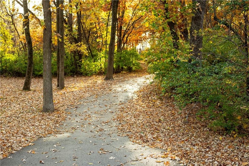 9732 115th St, Overland Park, KS 66210