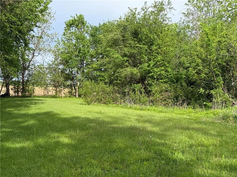 207 West St, Coffey, MO 64636