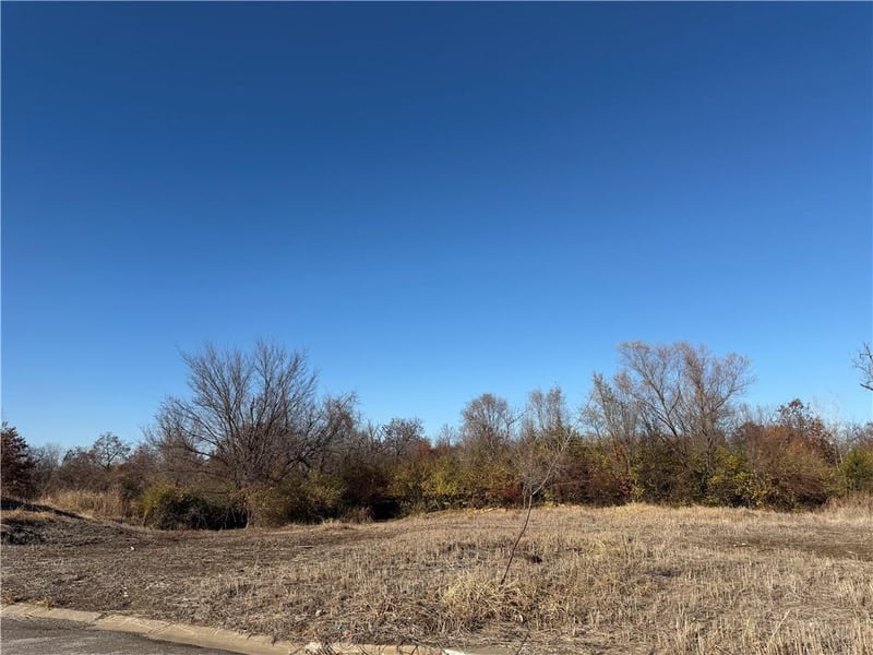 4541 Appleton Ave, Kansas City, MO 64133