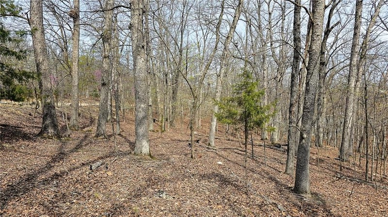 Lake Dr, Sunrise Beach, MO 65079