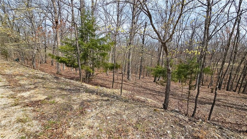 Lake Dr, Sunrise Beach, MO 65079