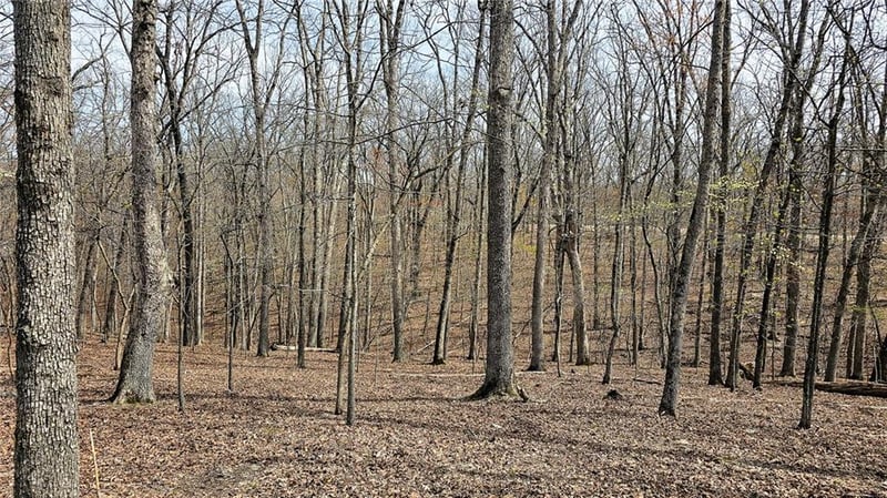 Lake Dr, Sunrise Beach, MO 65079