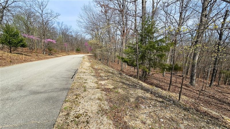 Lake Dr, Sunrise Beach, MO 65079