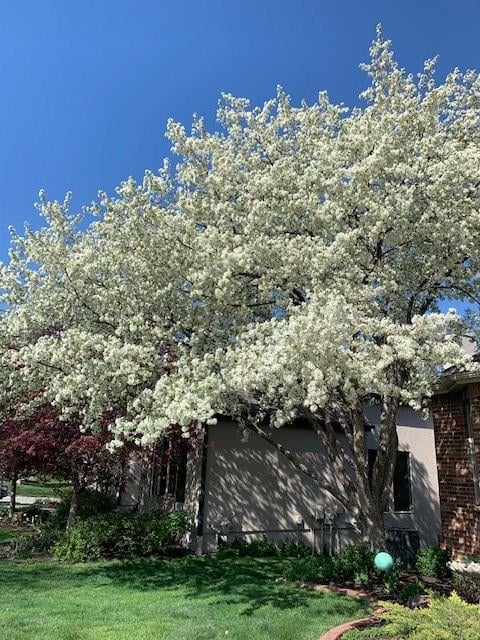 12549 Connell Dr, Overland Park, KS 66213