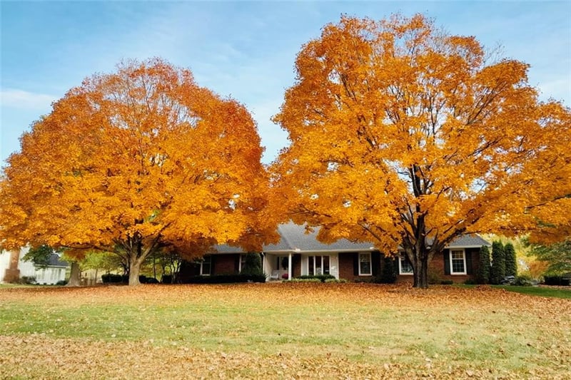 13023 Pratt Rd, Lee's Summit, MO 64086