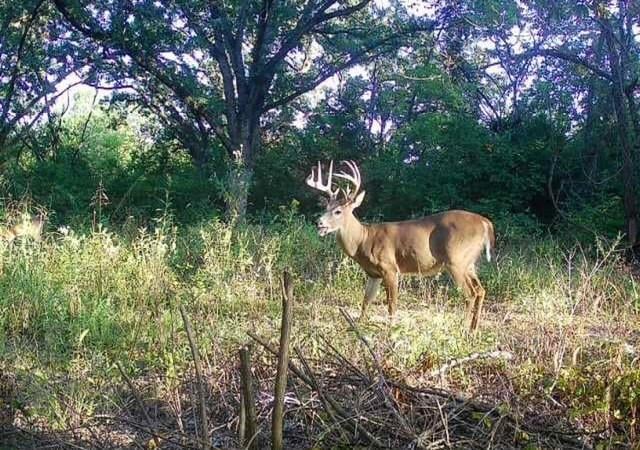 Argo Rd, Independence, MO 64057