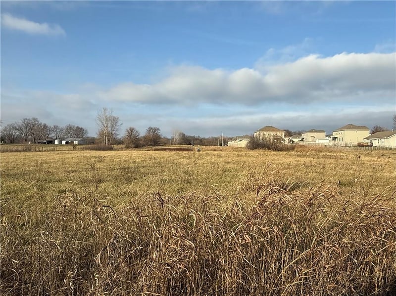124th St, Prathersville, MO 64024