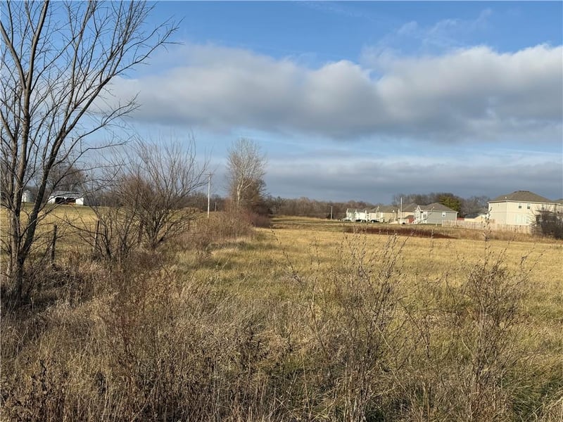 124th St, Prathersville, MO 64024