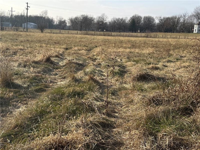 124th St, Prathersville, MO 64024