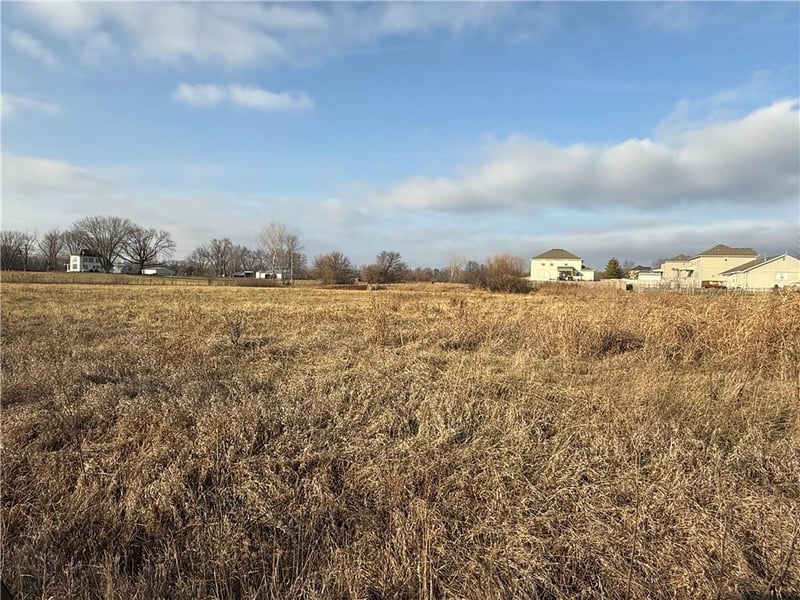 124th St, Prathersville, MO 64024
