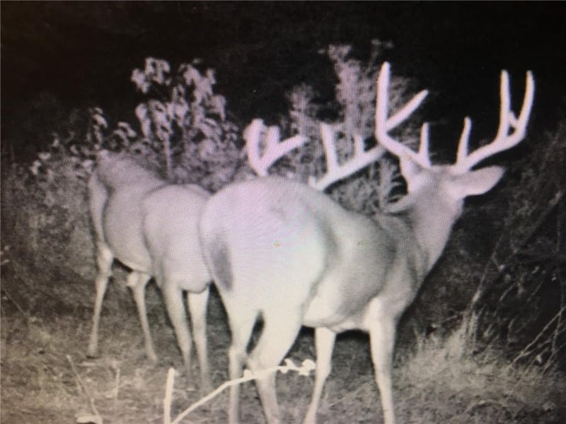 00000 363rd St, Osawatomie, KS 66064