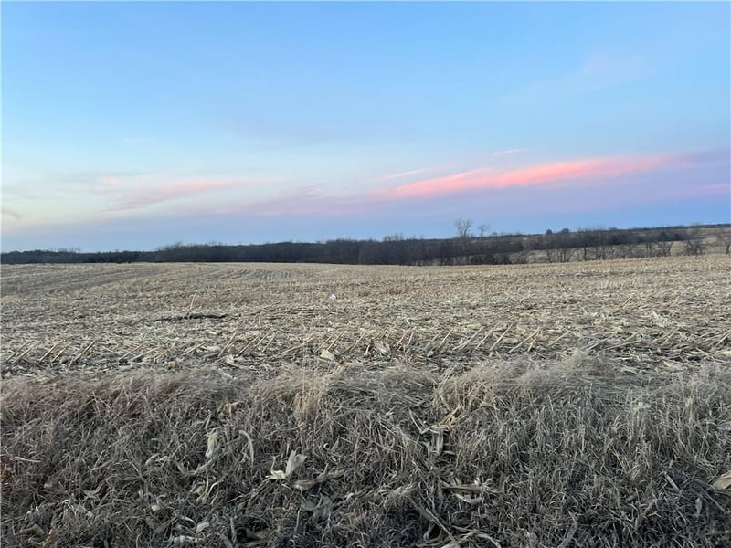 112th St, Winston, MO 64689