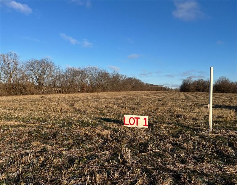 33602 Pink Hill Rd, Grain Valley, MO 64029