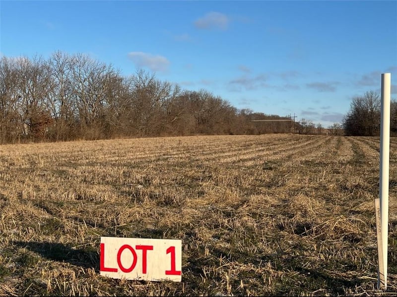 33602 Pink Hill Rd, Grain Valley, MO 64029