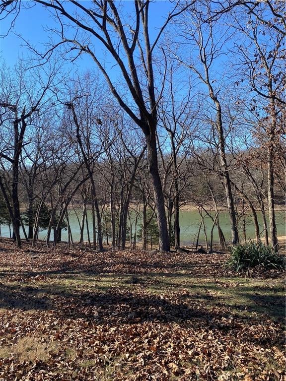 1152 105th St, Edwardsville, KS 66111