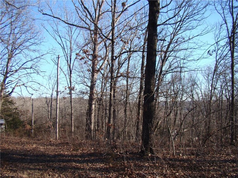 Gore/keevon Rd, Lincoln, MO 65338