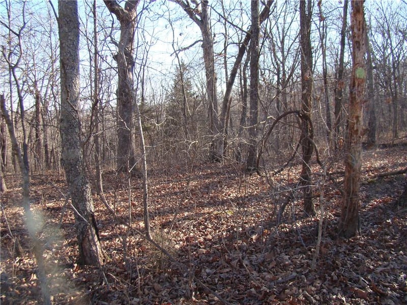 Gore/keevon Rd, Lincoln, MO 65338