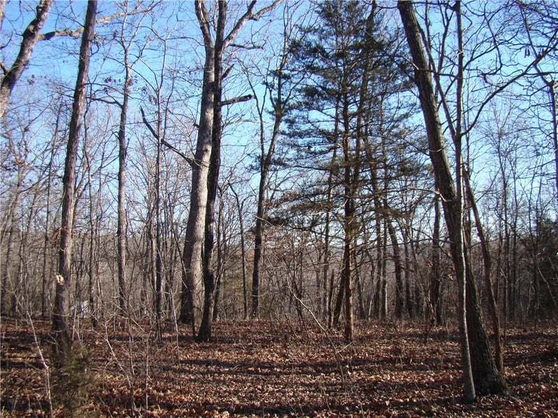 Gore/keevon Rd, Lincoln, MO 65338