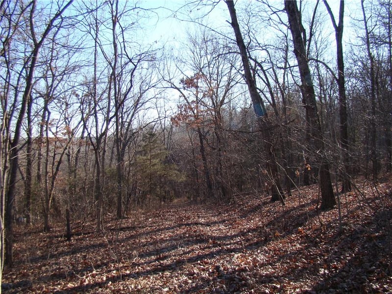 Gore/keevon Rd, Lincoln, MO 65338