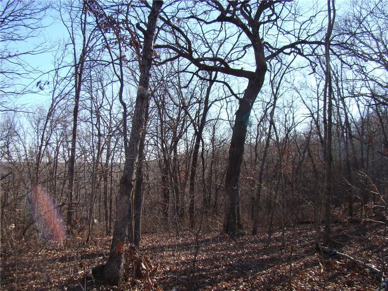 Gore/keevon Rd, Lincoln, MO 65338