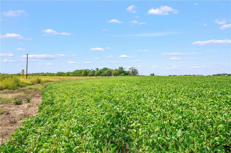Lot 5 Smasal & Cedar Park Dr, Sedalia, MO 65301