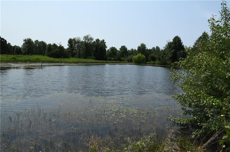11503 State Route 2 Hw, Freeman, MO 64746