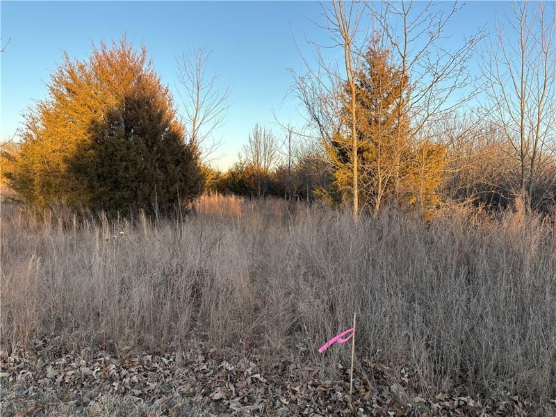 34 - 38 Louisiana Dr, Linn Valley, KS 66040