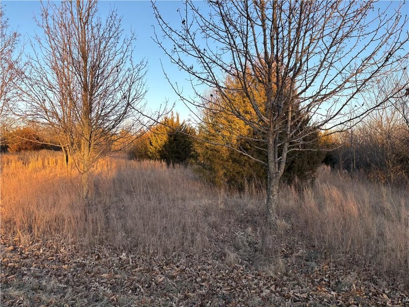 34 - 38 Louisiana Dr, Linn Valley, KS 66040