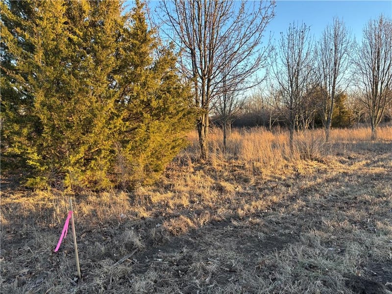 34 - 38 Louisiana Dr, Linn Valley, KS 66040