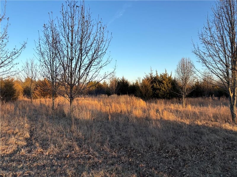 34 - 38 Louisiana Dr, Linn Valley, KS 66040
