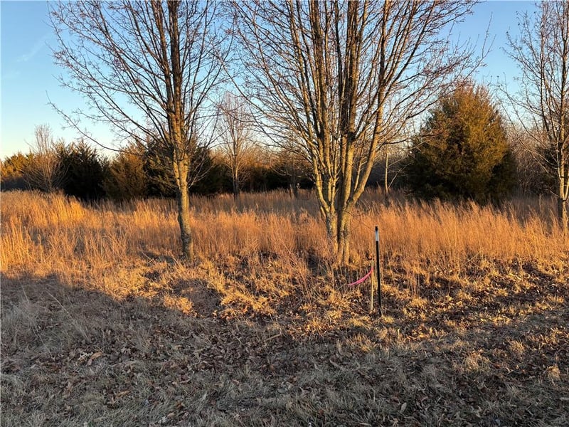 34 - 38 Louisiana Dr, Linn Valley, KS 66040