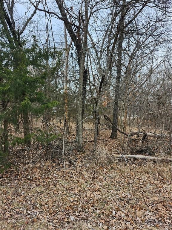 13 Silver Ln, Linn Valley, KS 66040
