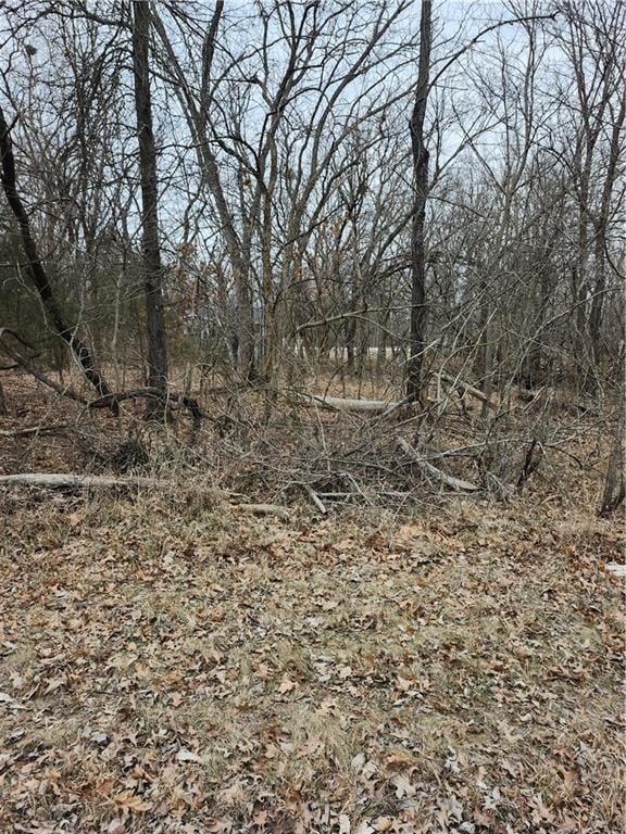 13 Silver Ln, Linn Valley, KS 66040