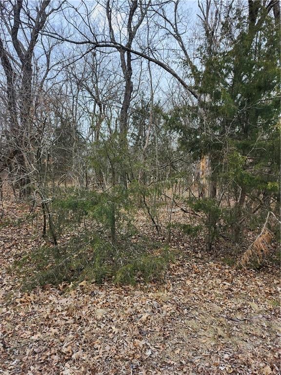 13 Silver Ln, Linn Valley, KS 66040