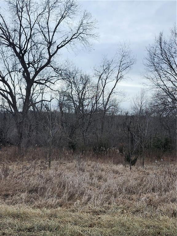 174 Holiday Dr, Linn Valley, KS 66040