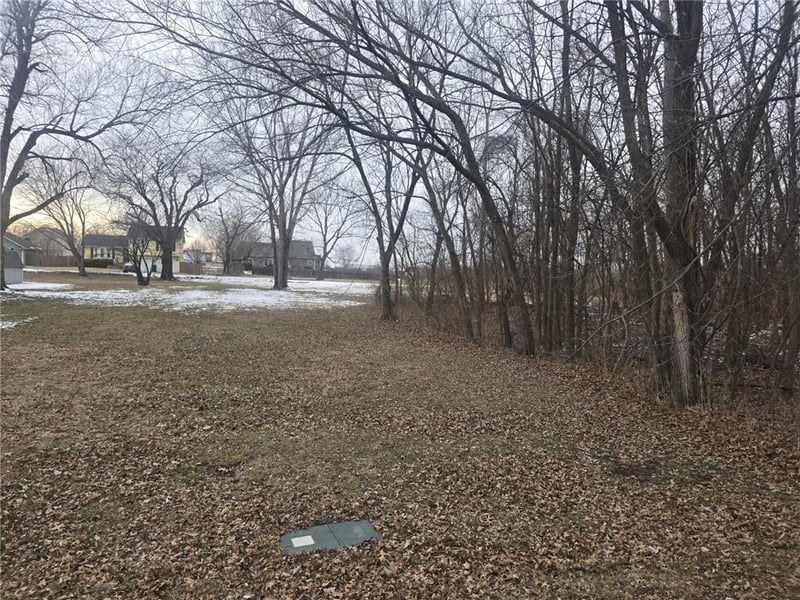 Washington St, East Lynne, MO 64743