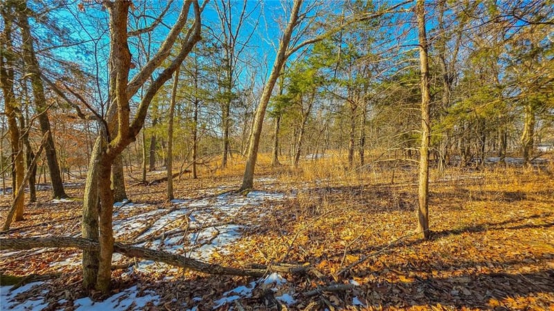 Champion Dr, Sunrise Beach, MO 65079