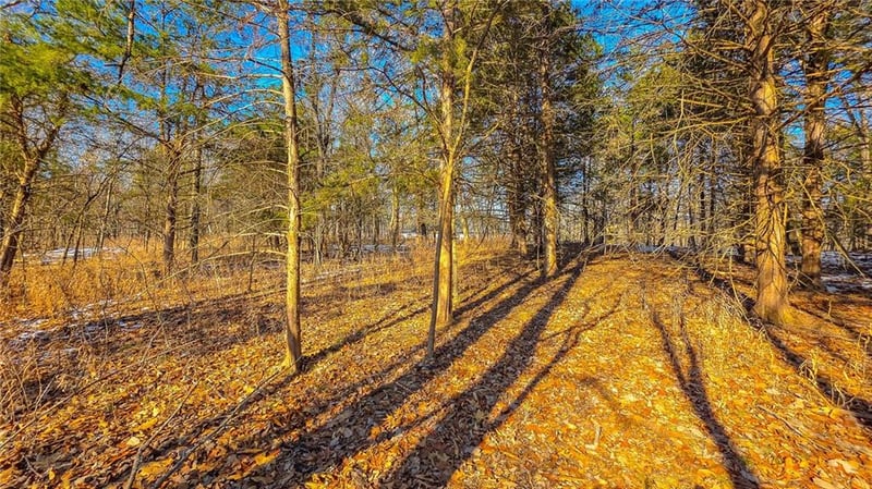 Champion Dr, Sunrise Beach, MO 65079