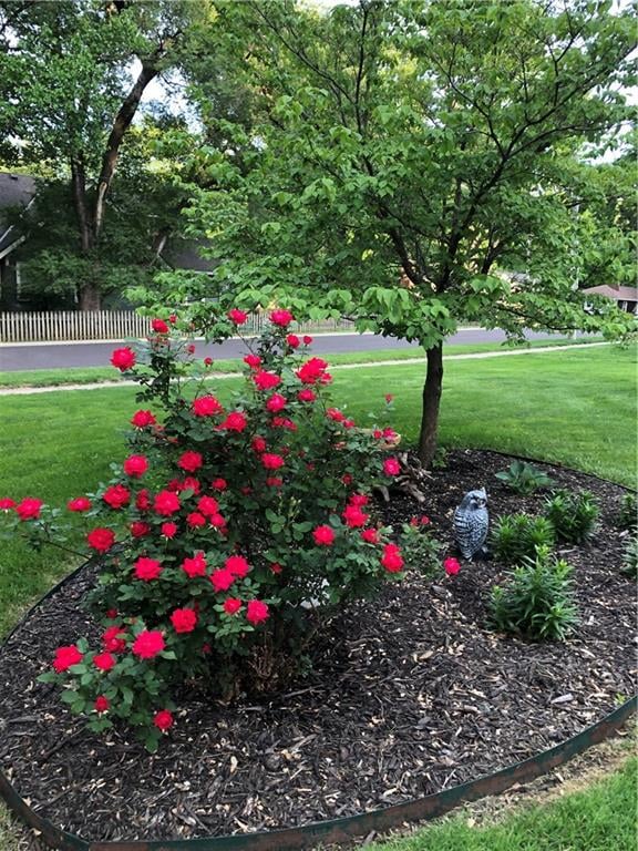 6700 Marty St, Overland Park, KS 66204