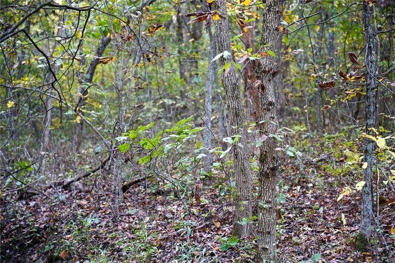 Lot 3 2124 Rd, Stockton, MO 65785